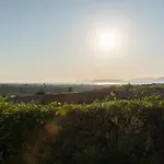 Paradisu
