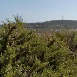 Paradisu וילה *
