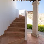 Paradisu