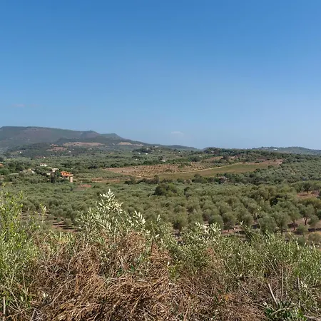 Вилла Paradisu *